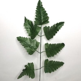 Leather Leaf 38cm x 12 stems