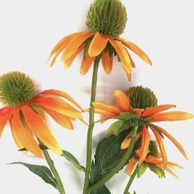 Orange Rudbeckia 73cm