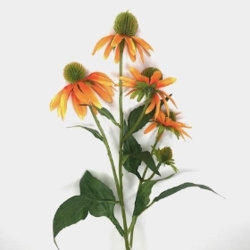 Orange Rudbeckia 73cm