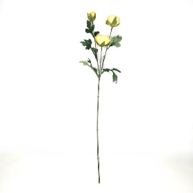 Yellow Ranunculus 62cm