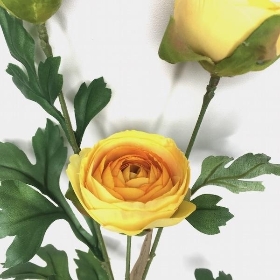 Yellow Ranunculus 62cm