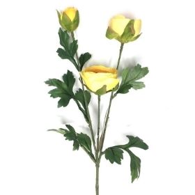 Yellow Ranunculus 62cm