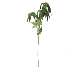 Pale Green Amaranthus Spray 63cm