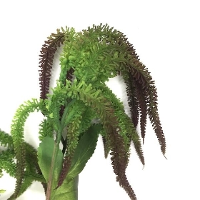 Pale Green Amaranthus Spray 63cm