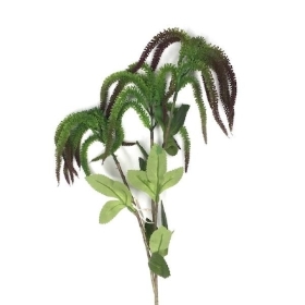 Pale Green Amaranthus Spray 63cm