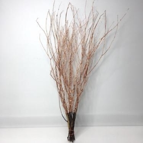 Rose Gold Painted Birch