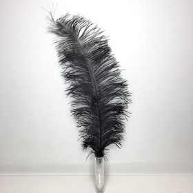 Black Ostrich Feathers x 5