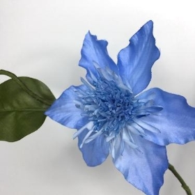 Pale Blue Clematis 79cm