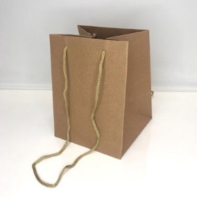 Natural Kraft Bags x 10 