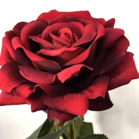 Red Velvet Rose 74cm