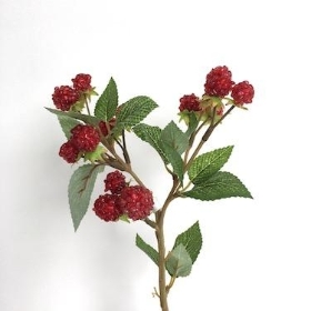 Red Raspberry Spray 39cm