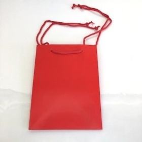 Red Hand Tie Bags x 10