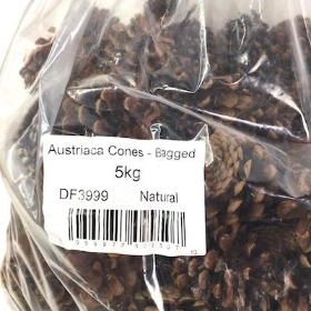 Pine Cones 5kg