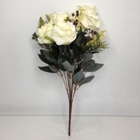 Cream Rose Bush 50cm