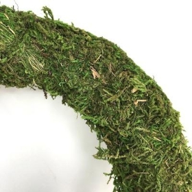 Moss Wreath 25cm