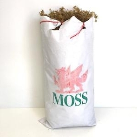 Fresh Welsh Moss