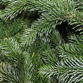 Fresh Spruce Bundle English