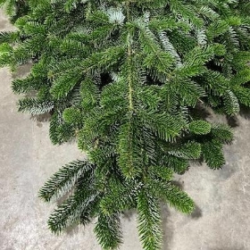 Spruce Bundle