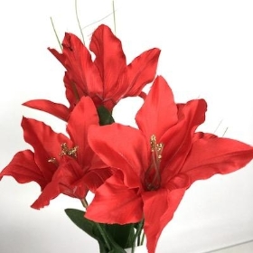 Red Christmas Lily Bush 34cm