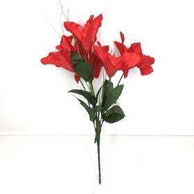 Red Christmas Lily Bush 34cm