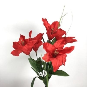 Red Christmas Lily Bush 34cm