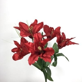 Burgundy Christmas Lily Bush 34cm