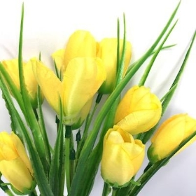 Yellow Tulip Bush 35cm