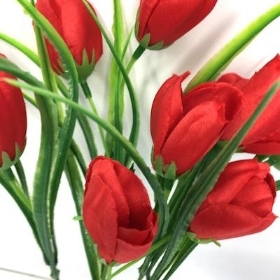 Red Tulip Bush 35cm