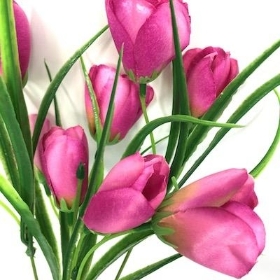 Pink Tulip Bush 35cm