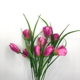 Pink Tulip Bush 35cm