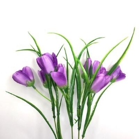 Purple Tulip Bush 35cm