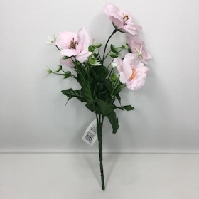 Pink Mini Anemone Bush 30cm