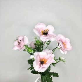 Pink Mini Anemone Bush 30cm