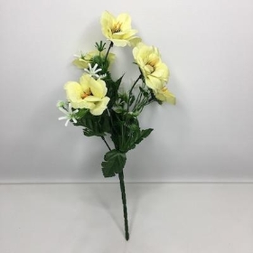 Yellow Mini Anemone Bush 30cm