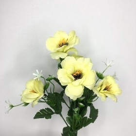 Yellow Mini Anemone Bush 30cm