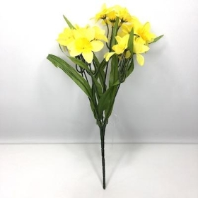 Yellow Mini Daffodil Bush 31cm