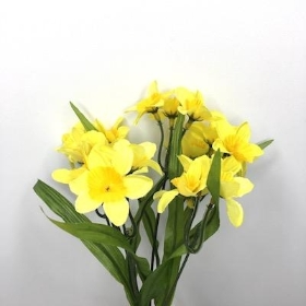 Yellow Mini Daffodil Bush 31cm