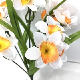 Ivory And Orange Mini Daffodil Bush 31cm