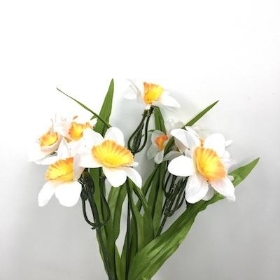 Ivory And Orange Mini Daffodil Bush 31cm