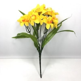 Yellow And Orange Mini Daffodil Bush 31cm