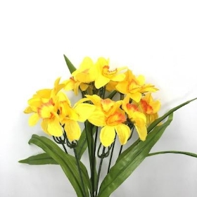 Yellow And Orange Mini Daffodil Bush 31cm