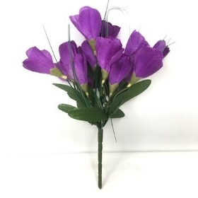 Purple Crocus Bush 24cm