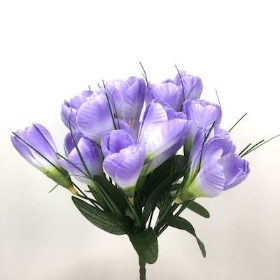 Lilac Crocus Bush 24cm