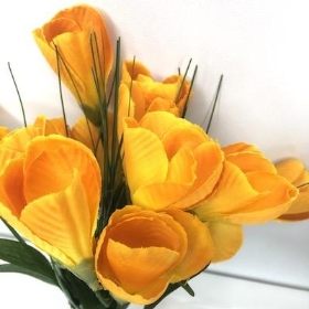 Orange Crocus Bush 24cm