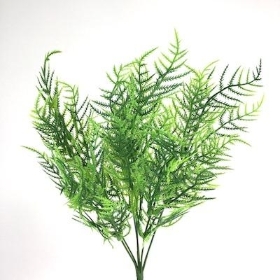 Green Asparagus Bush 31cm