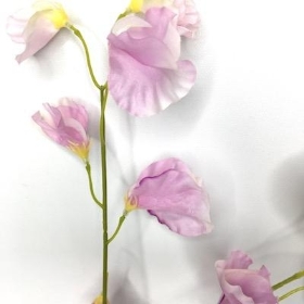 Pale Pink Sweetpea 46cm