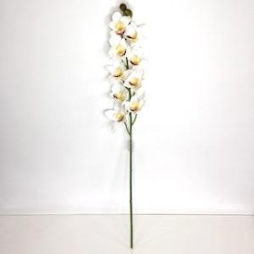 Ivory Cymbidium Orchid 89cm