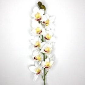 Ivory Cymbidium Orchid 89cm