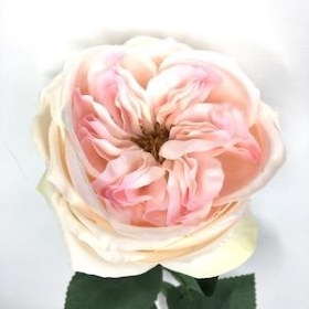 Pink Garden Rose 53cm