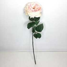 Pink Garden Rose 53cm